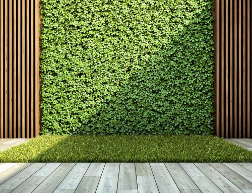Zeleni zid čuva energiju doma